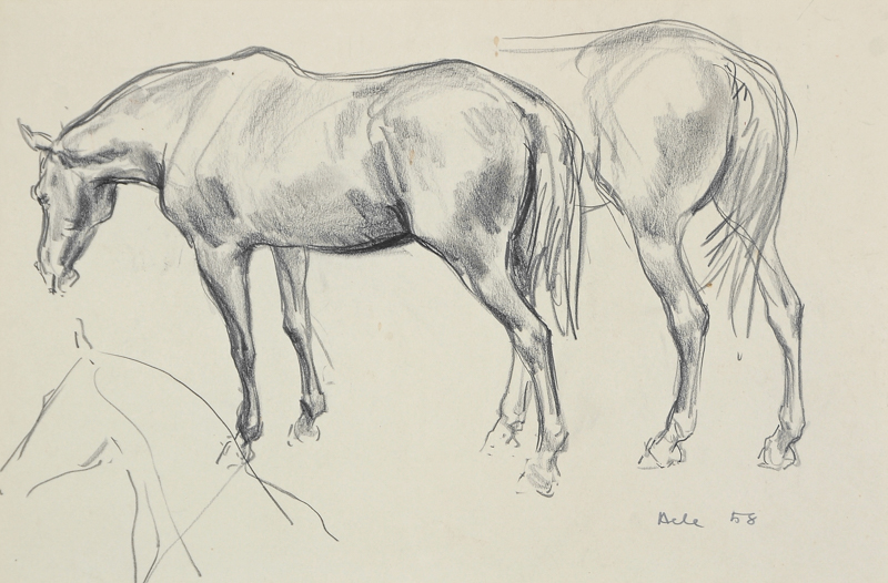 Lot 54